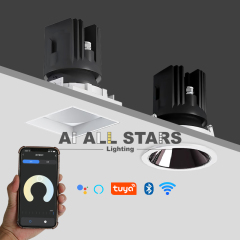AS-9361 Variety Color temperature Tuya Control Spotlight