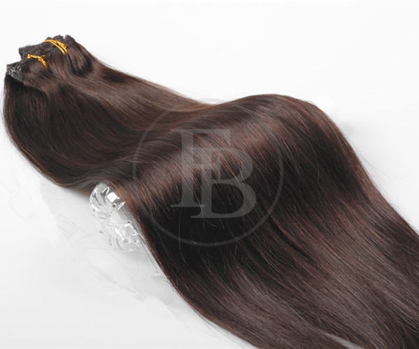 Darkest Brown #2 Clips for Hair Extensions 