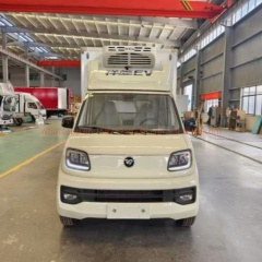 祥菱Q纯电动4*2冷藏冷链车 发动机马力102 最大限速90Km/h