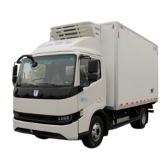 Geely Farizon Xingzhi H8E 4.2m New Energy Pure Electric Refrigerated Truck