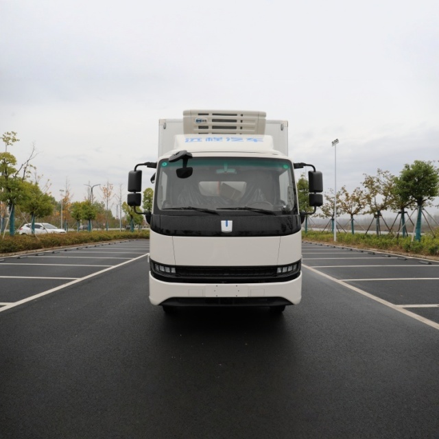 Geely Farizon Xingzhi H8E 4.2m New Energy Pure Electric Refrigerated Truck