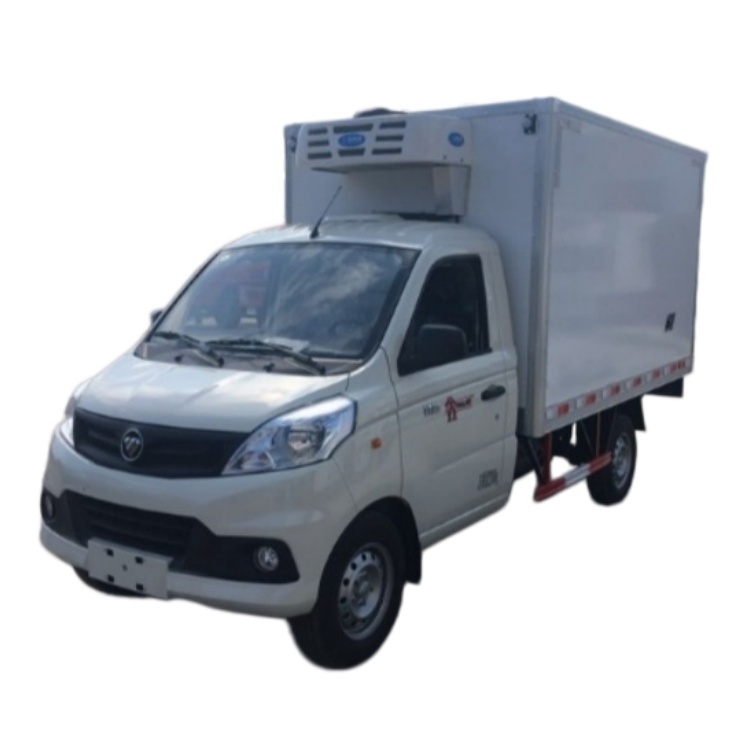 Foton Xiangling V1 (Gratour T3) Small Refrigerated Box Truck