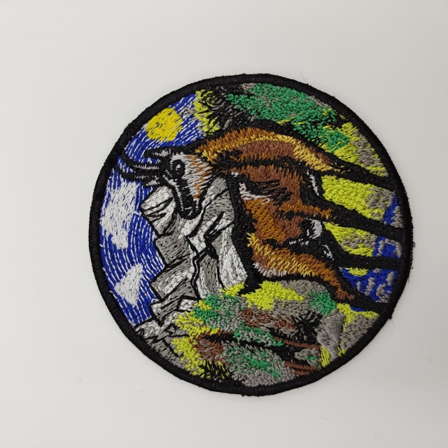 Embroidered patches
