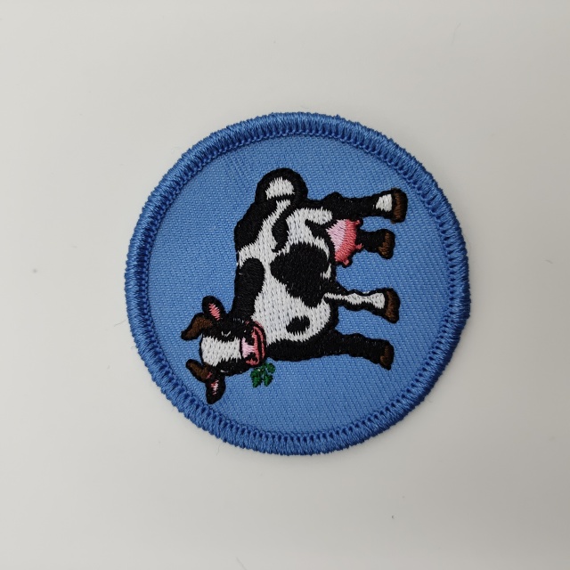 Embroidered patches