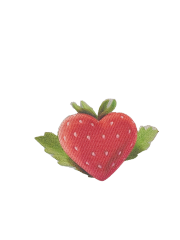 Embroidered+Printing patch