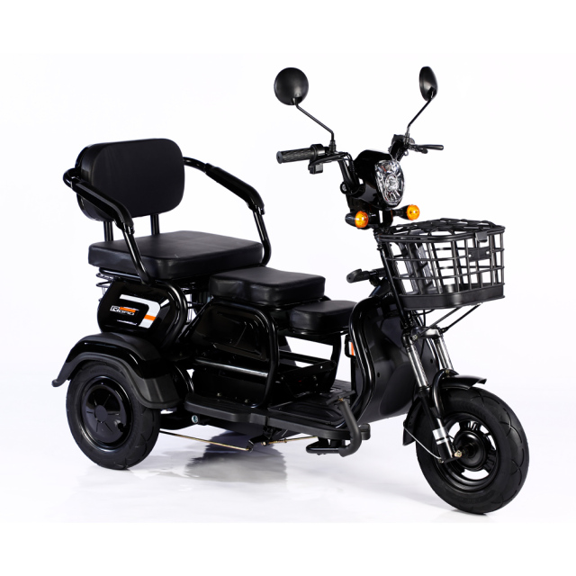 2025 Hot Sale 600W 48V 3 Wheel Electric Bicycle Adult Electric Tricycle Cargo Ebike Without Basket
