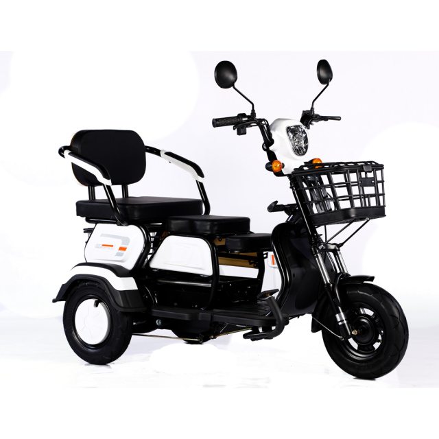 2025 Hot Sale 600W 48V 3 Wheel Electric Bicycle Adult Electric Tricycle Cargo Ebike Without Basket