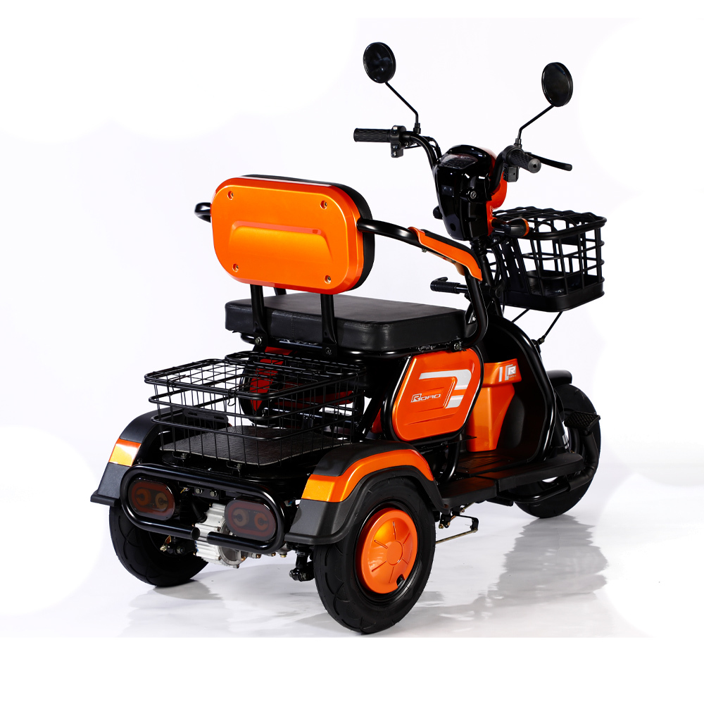 2025 Hot Sale 600W 48V 3 Wheel Electric Bicycle Adult Electric Tricycle Cargo Ebike Without Basket
