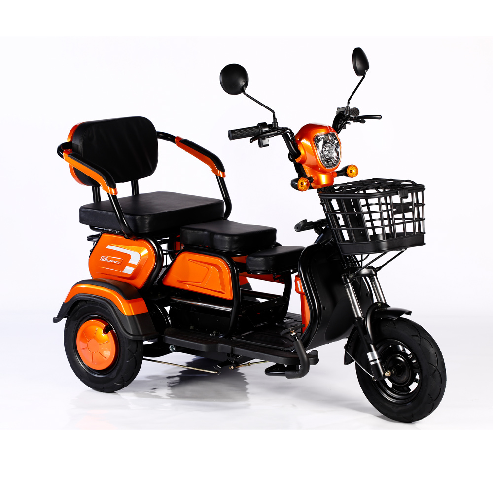 2025 Hot Sale 600W 48V 3 Wheel Electric Bicycle Adult Electric Tricycle Cargo Ebike Without Basket