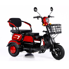 2025 Hot Sale 600W 48V 3 Wheel Electric Bicycle Adult Electric Tricycle Cargo Ebike Without Basket