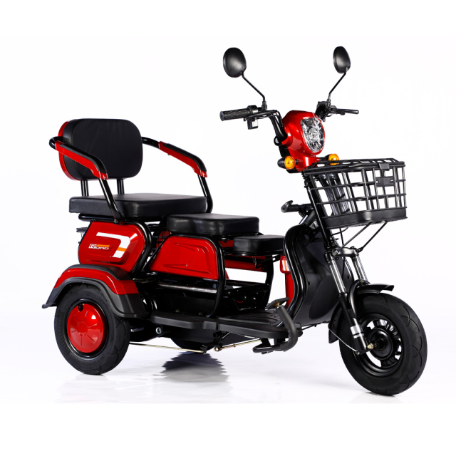 2025 Hot Sale 600W 48V 3 Wheel Electric Bicycle Adult Electric Tricycle Cargo Ebike Without Basket