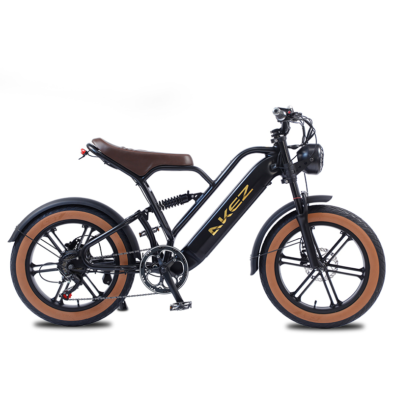 HOT SALE 750W 48V Full Suspension Electric Bike 20 Inch High Speed Ebike Fat Tire E Mountain Bike