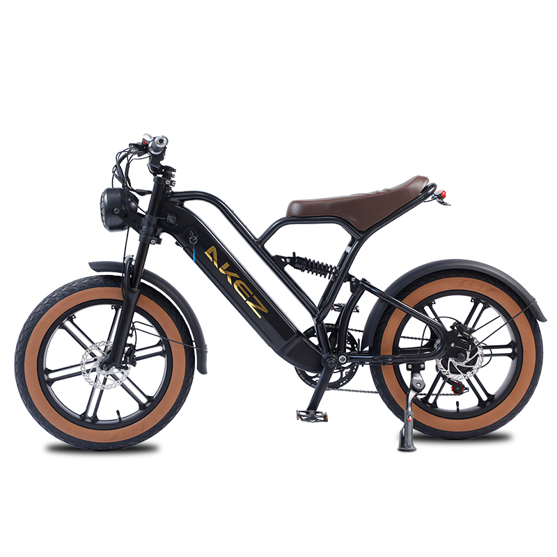 HOT SALE 750W 48V Full Suspension Electric Bike 20 Inch High Speed Ebike Fat Tire E Mountain Bike