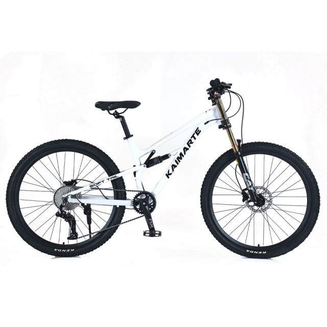27.5 Inch Mtb Bicycle Trek Mountain Bike Dual Suspension Vintage Cycle Mountain Bicycle