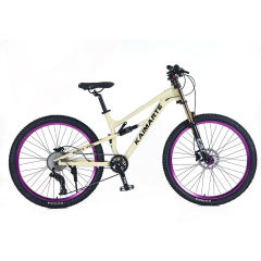 27.5 Inch Mtb Bicycle Trek Mountain Bike Dual Suspension Vintage Cycle Mountain Bicycle