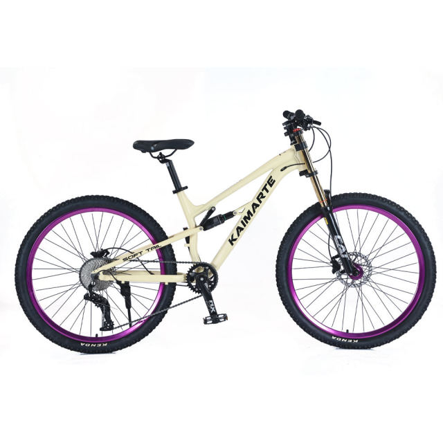 27.5 Inch Mtb Bicycle Trek Mountain Bike Dual Suspension Vintage Cycle Mountain Bicycle
