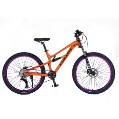 27.5 Inch Mtb Bicycle Trek Mountain Bike Dual Suspension Vintage Cycle Mountain Bicycle