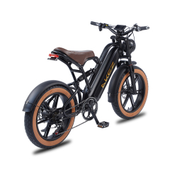 HOT SALE 750W 48V Full Suspension Electric Bike 20 Inch High Speed Ebike Fat Tire E Mountain Bike