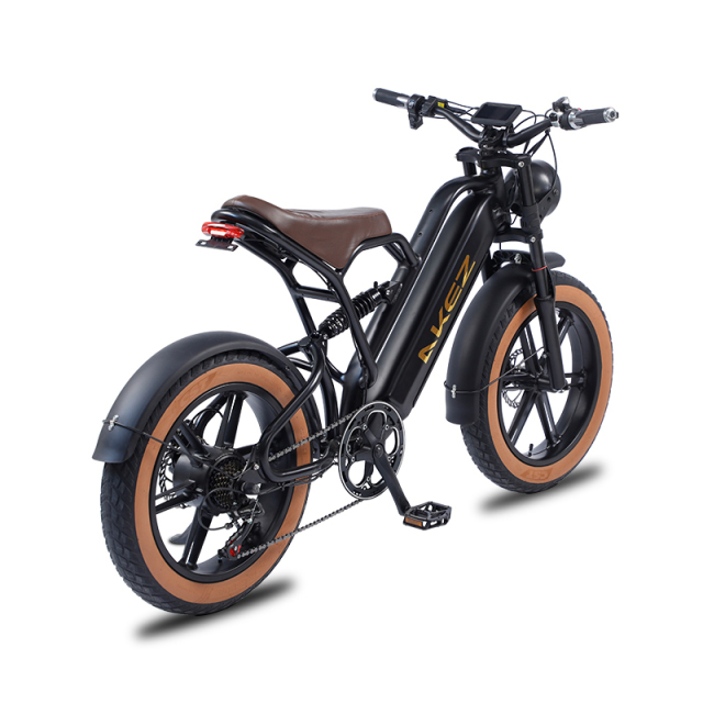 HOT SALE 750W 48V Full Suspension Electric Bike 20 Inch High Speed Ebike Fat Tire E Mountain Bike