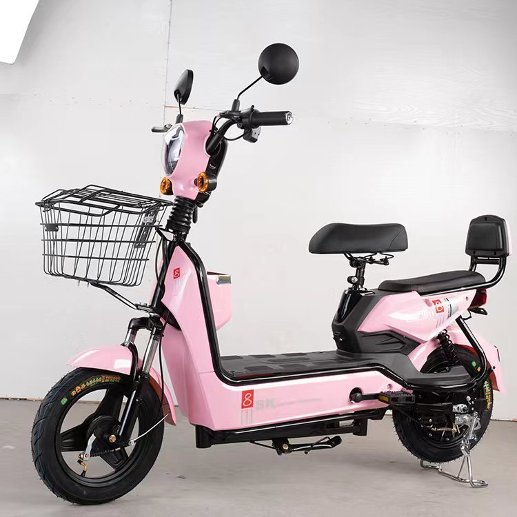 China Factory Electric Scooter 350W 48V 12Ah Electric Bike