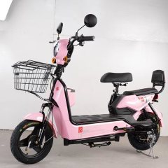 China Factory Electric Scooter 350W 48V 12Ah Electric Bike