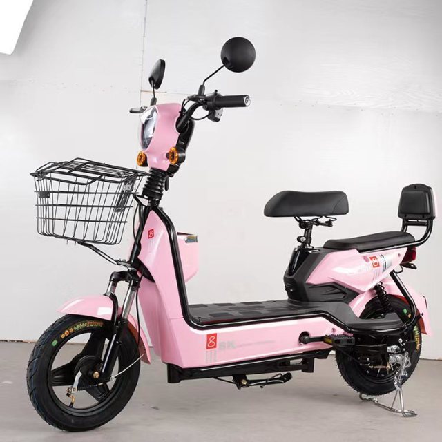 China Factory Electric Scooter 350W 48V 12Ah Electric Bike