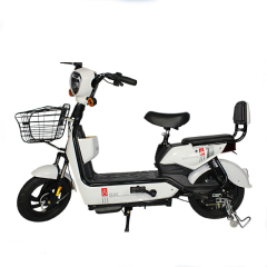 China Factory Electric Scooter 350W 48V 12Ah Electric Bike