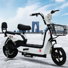 China Factory Electric Scooter 350W 48V 12Ah Electric Bike