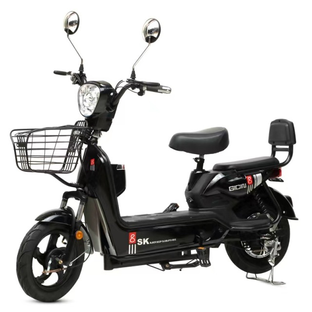 China Factory Electric Scooter 350W 48V 12Ah Electric Bike