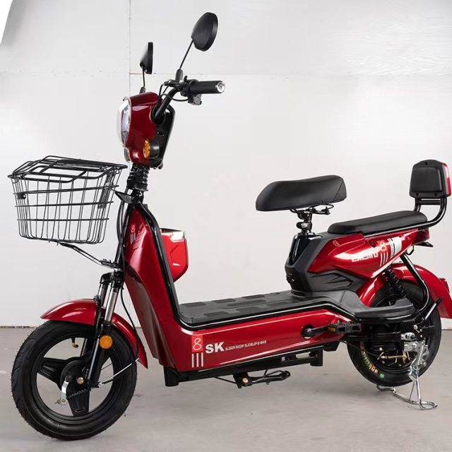 China Factory Electric Scooter 350W 48V 12Ah Electric Bike