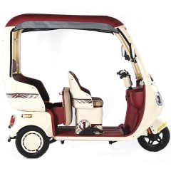 2025 New 3 Wheeler Electric Tricycle Bike Sanbengzi 800W Family Use 3 Wheel Electric Trike With Roof No Battery