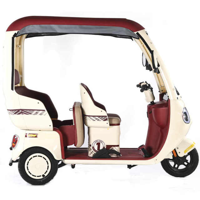 2025 New 3 Wheeler Electric Tricycle Bike Sanbengzi 800W Family Use 3 Wheel Electric Trike With Roof No Battery