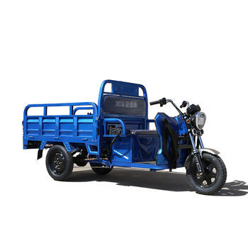 2025 New 800-1000W Cargo Electric Trike Multifunction Sanbengzi 3 Wheel Electric Tricycle Bike for Adults