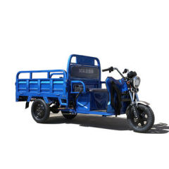 2025 New 800-1000W Cargo Electric Trike Multifunction Sanbengzi 3 Wheel Electric Tricycle Bike for Adults