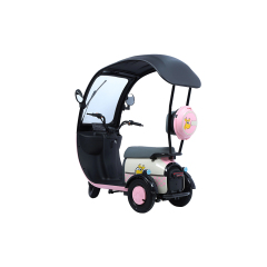 Hot Sale Cargo Ebike 3 Wheels 800W 48V Electric Bike Tricycle Three Wheel Electric Trike for Adults