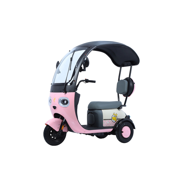 Hot Sale Cargo Ebike 3 Wheels 800W 48V Electric Bike Tricycle Three Wheel Electric Trike for Adults
