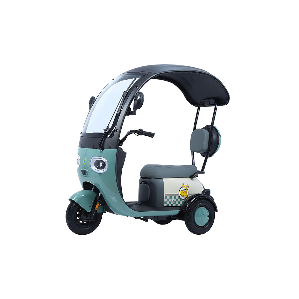 Hot Sale Cargo Ebike 3 Wheels 800W 48V Electric Bike Tricycle Three Wheel Electric Trike for Adults