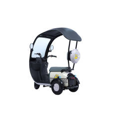 Hot Sale Cargo Ebike 3 Wheels 800W 48V Electric Bike Tricycle Three Wheel Electric Trike for Adults