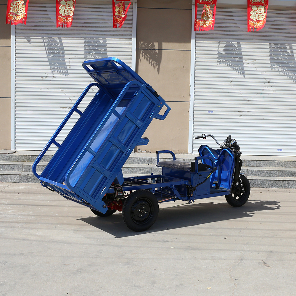 2025 New 800-1000W Cargo Electric Trike Multifunction Sanbengzi 3 Wheel Electric Tricycle Bike for Adults