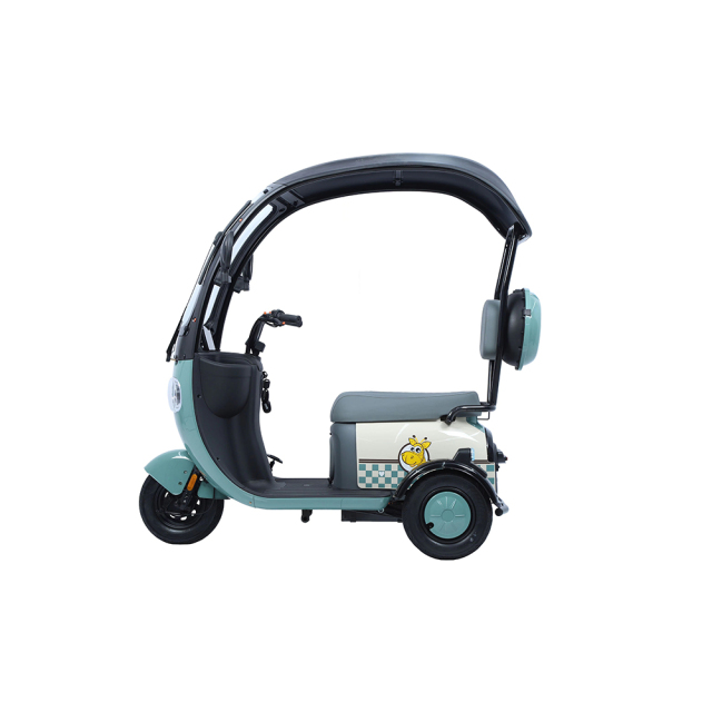 Hot Sale Cargo Ebike 3 Wheels 800W 48V Electric Bike Tricycle Three Wheel Electric Trike for Adults