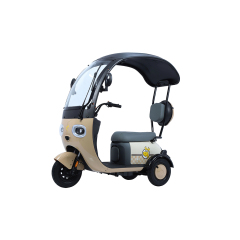 Hot Sale Cargo Ebike 3 Wheels 800W 48V Electric Bike Tricycle Three Wheel Electric Trike for Adults