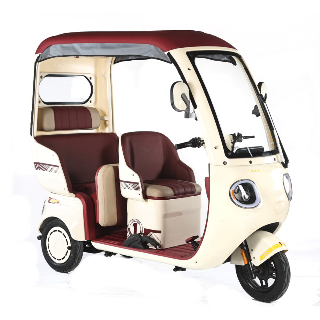 2025 New 3 Wheeler Electric Tricycle Bike Sanbengzi 800W Family Use 3 Wheel Electric Trike With Roof No Battery