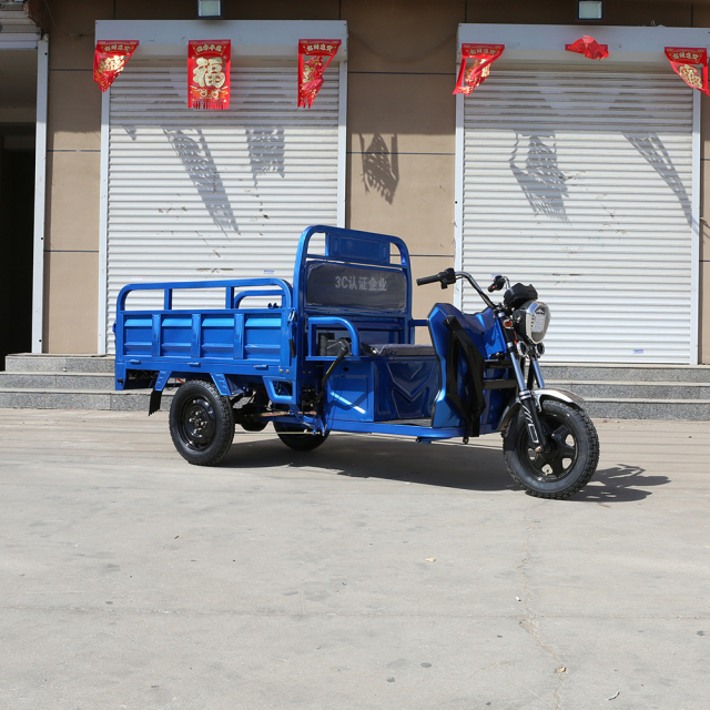 2025 New 800-1000W Cargo Electric Trike Multifunction Sanbengzi 3 Wheel Electric Tricycle Bike for Adults