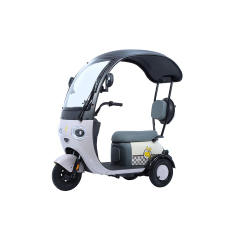 Hot Sale Cargo Ebike 3 Wheels 800W 48V Electric Bike Tricycle Three Wheel Electric Trike for Adults