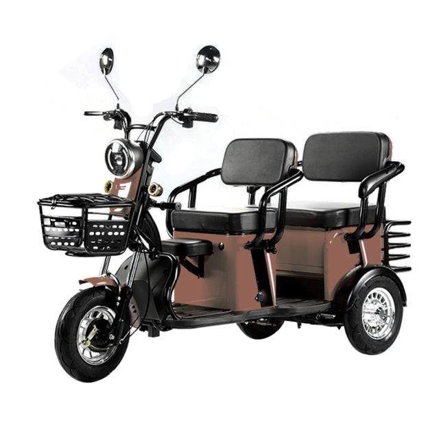 Electric Tricycle High Quality 3 Wheel Cargo Bike Electric Tricycle Family Delivery Ebike