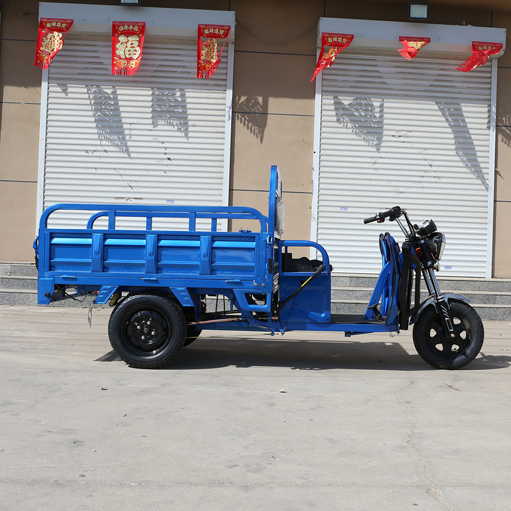 2025 New 800-1000W Cargo Electric Trike Multifunction Sanbengzi 3 Wheel Electric Tricycle Bike for Adults
