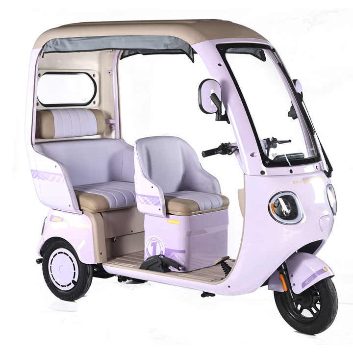 2025 New 3 Wheeler Electric Tricycle Bike Sanbengzi 800W Family Use 3 Wheel Electric Trike With Roof No Battery