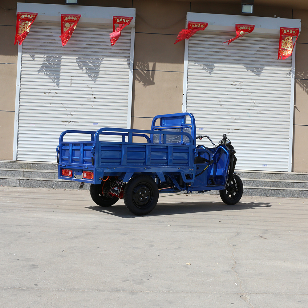 2025 New 800-1000W Cargo Electric Trike Multifunction Sanbengzi 3 Wheel Electric Tricycle Bike for Adults