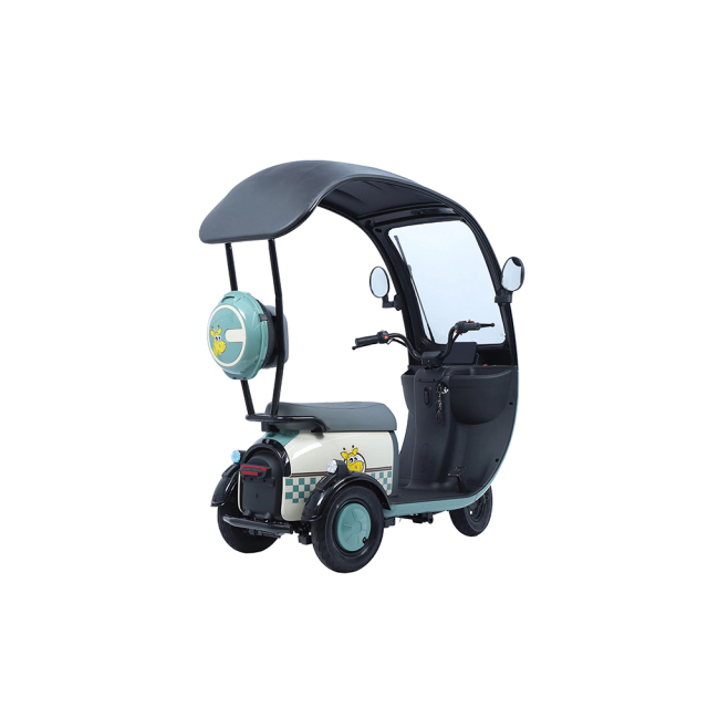 Hot Sale Cargo Ebike 3 Wheels 800W 48V Electric Bike Tricycle Three Wheel Electric Trike for Adults