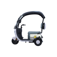 Hot Sale Cargo Ebike 3 Wheels 800W 48V Electric Bike Tricycle Three Wheel Electric Trike for Adults